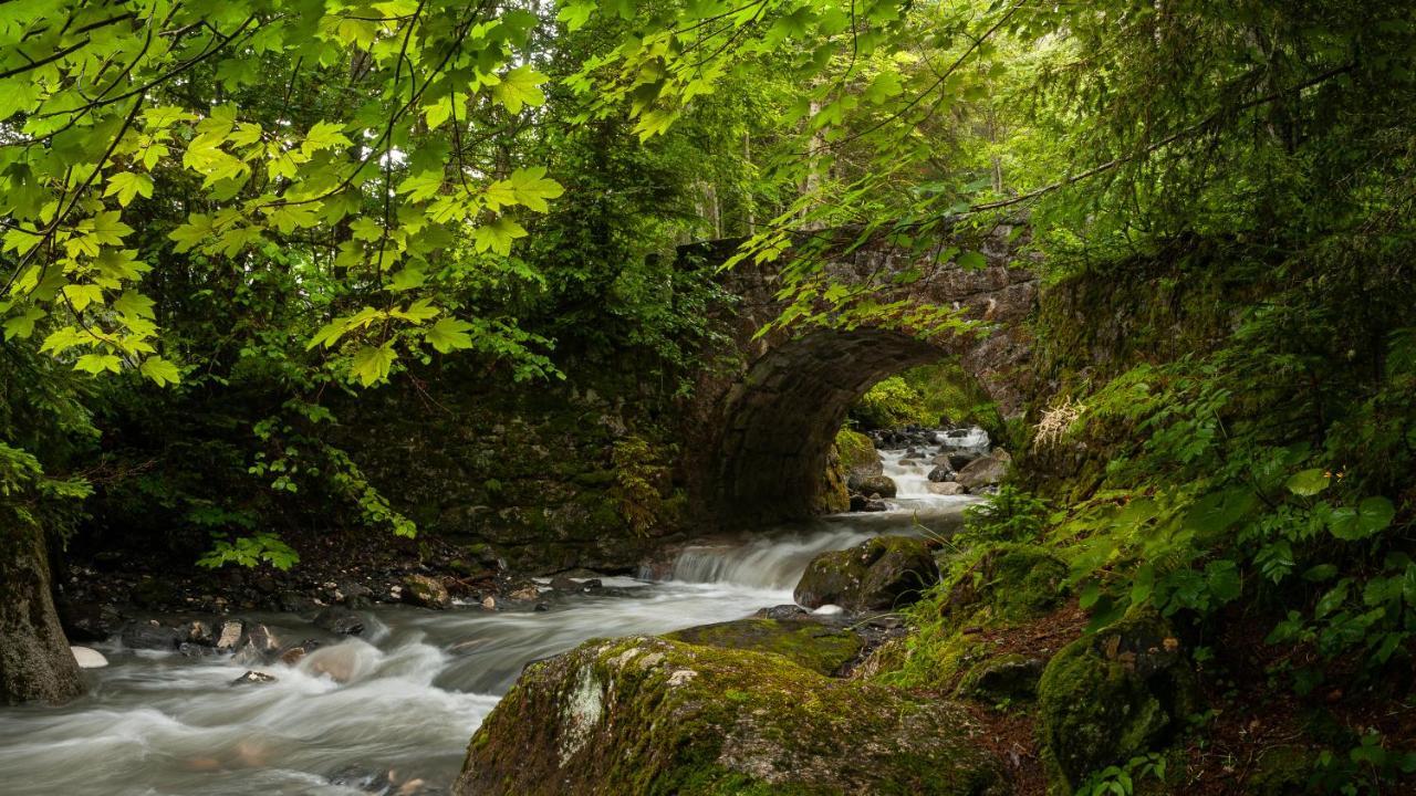 Chalet Neuf La Perle Du Perron Villa Cordon Dış mekan fotoğraf